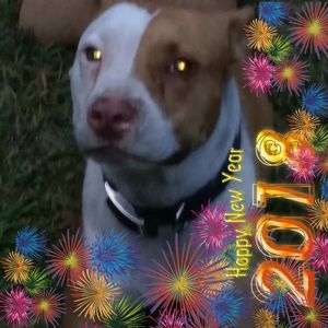 Meet your Posher, Sherry